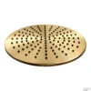 Regendouche Kop Brauer Gold Edition 30 Cm Geborsteld Goud