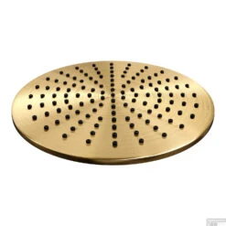 Regendouche Kop Brauer Gold Edition 30 Cm Geborsteld Goud