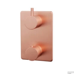 Afbouwdeel Wiesbaden Caral Thermostatisch 2-Weg Geborsteld Koper