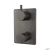 BWS Afbouwdeel Cemal Douche Thermostaat Inbouw 2-Weg Gunmetal -Badkamermeubels bws afbouwdeel cemal douche thermostaat inbouw 2 weg gunmetal shop