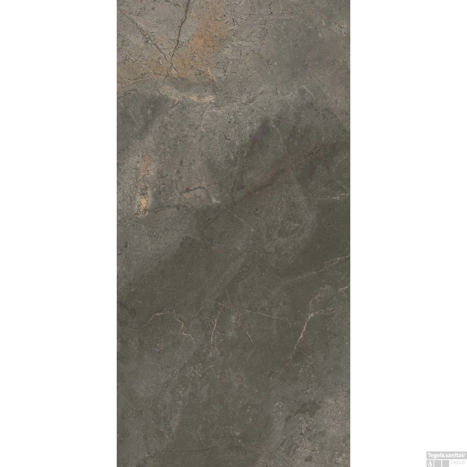 Vloertegel TS-Tiles Stonemaster Graphite 60x120 Cm (doosinhoud 1.43m2) 3 Vloertegel TS-Tiles Stonemaster Graphite 60x120 Cm (doosinhoud 1.43m2)