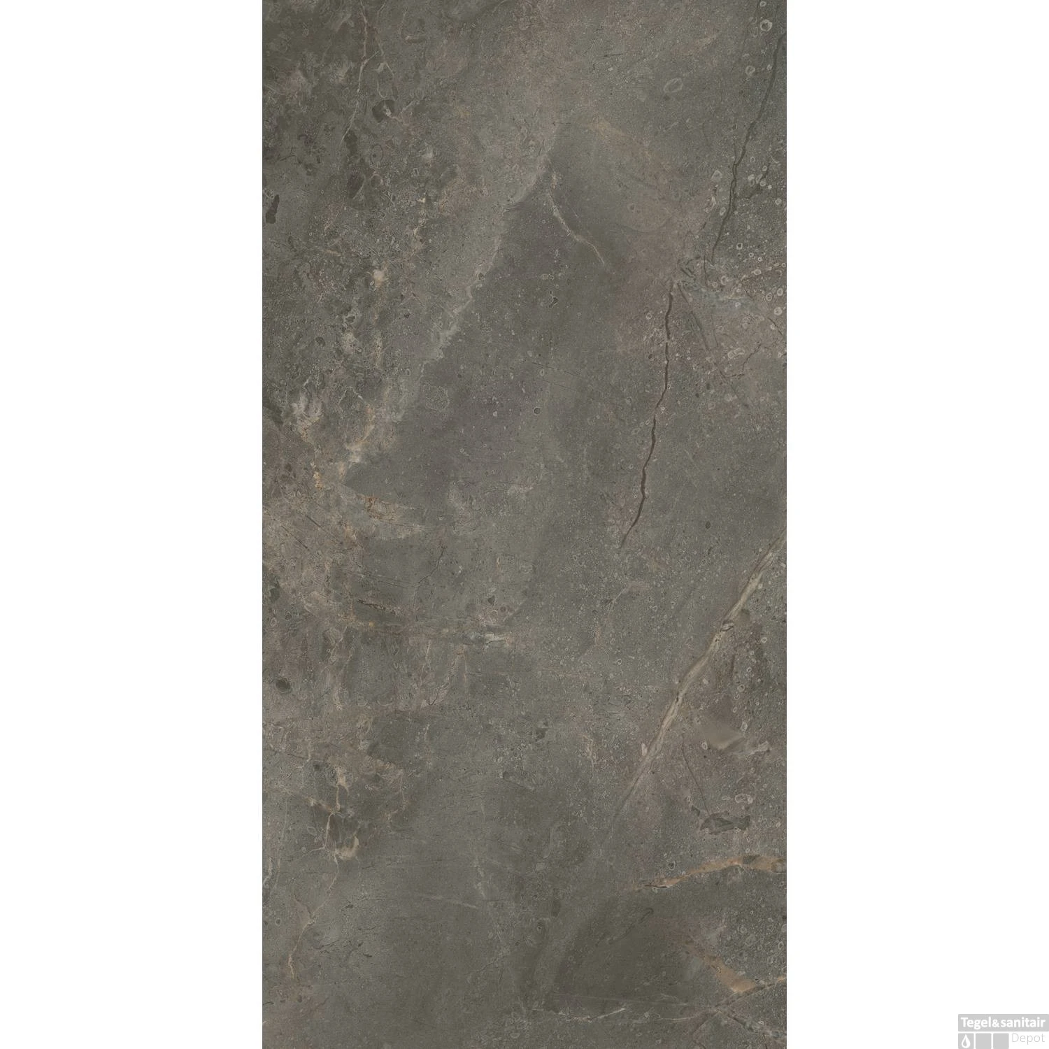 Vloertegel TS-Tiles Stonemaster Graphite 60x120 Cm (doosinhoud 1.43m2) 6 Vloertegel TS-Tiles Stonemaster Graphite 60x120 Cm (doosinhoud 1.43m2) - Afbeelding 4