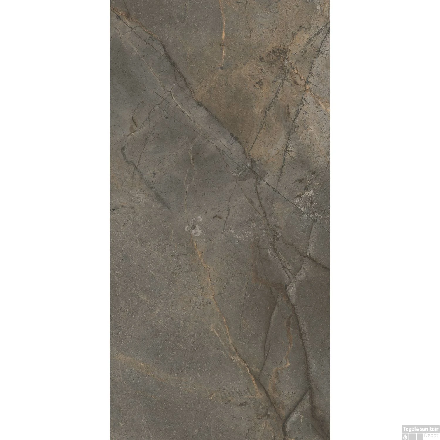 Vloertegel TS-Tiles Stonemaster Graphite 60x120 Cm (doosinhoud 1.43m2) 8 Vloertegel TS-Tiles Stonemaster Graphite 60x120 Cm (doosinhoud 1.43m2) - Afbeelding 6