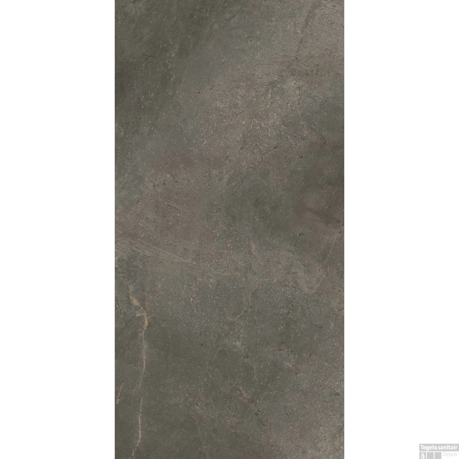 Vloertegel TS-Tiles Stonemaster Graphite 60x120 Cm (doosinhoud 1.43m2) 7 Vloertegel TS-Tiles Stonemaster Graphite 60x120 Cm (doosinhoud 1.43m2) - Afbeelding 5