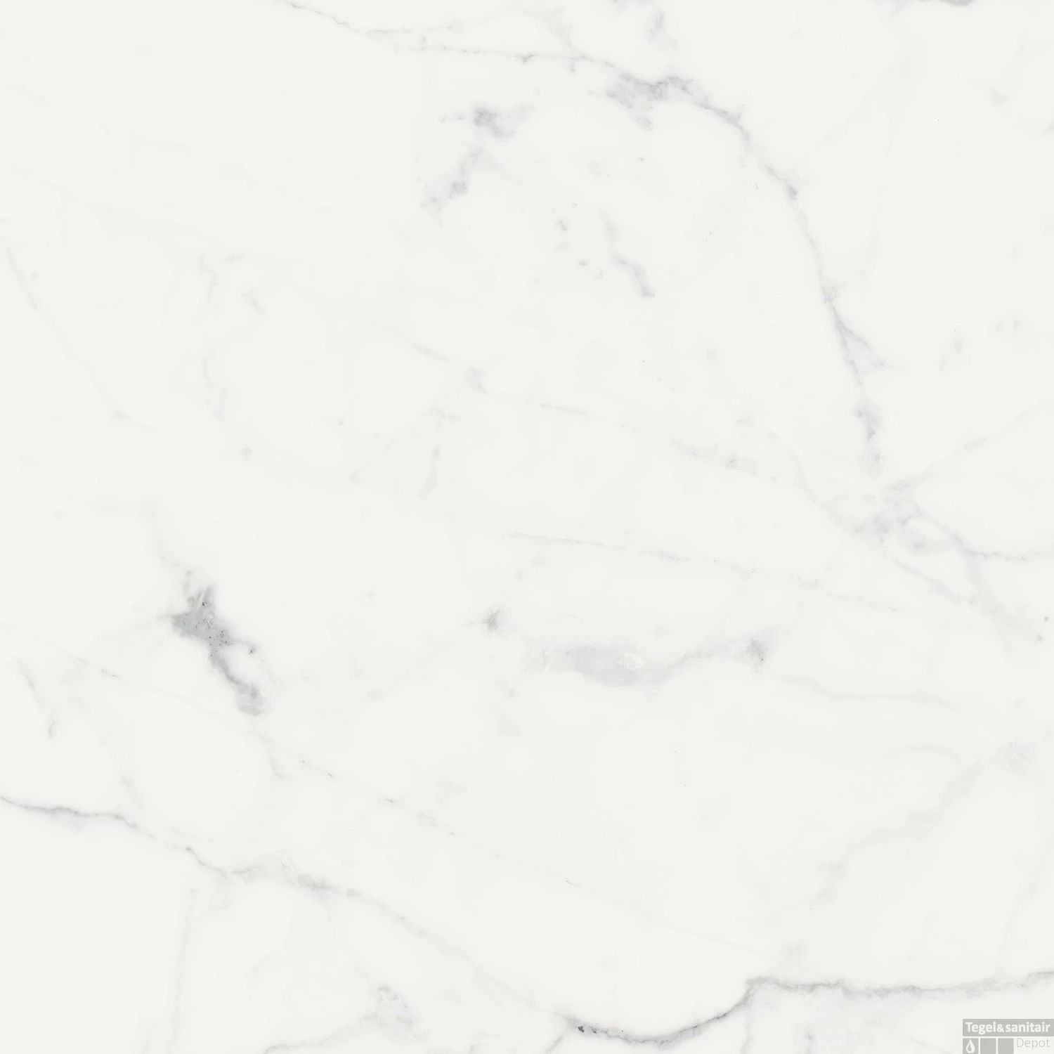 Vloertegel Douglas & Jones 60x60 Magnum Blanc Mat (Doosinhoud 1.08 M2) 7 Vloertegel Douglas & Jones 60x60 Magnum Blanc Mat (Doosinhoud 1.08 M2) - Afbeelding 5